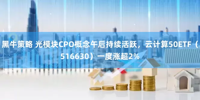 黑牛策略 光模块CPO概念午后持续活跃，云计算50ETF（516630）一度涨超2%
