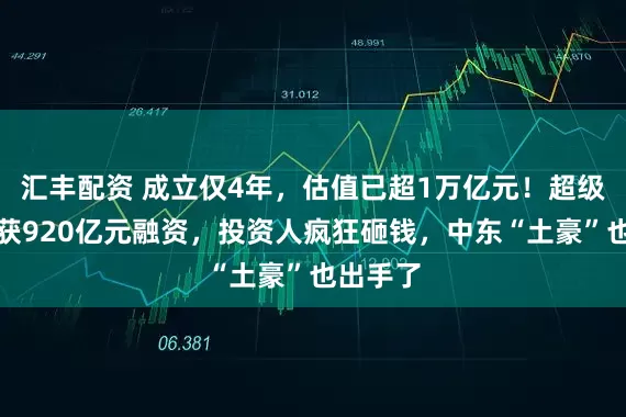 汇丰配资 成立仅4年，估值已超1万亿元！超级独角兽获920亿元融资，投资人疯狂砸钱，中东“土豪”也出手了